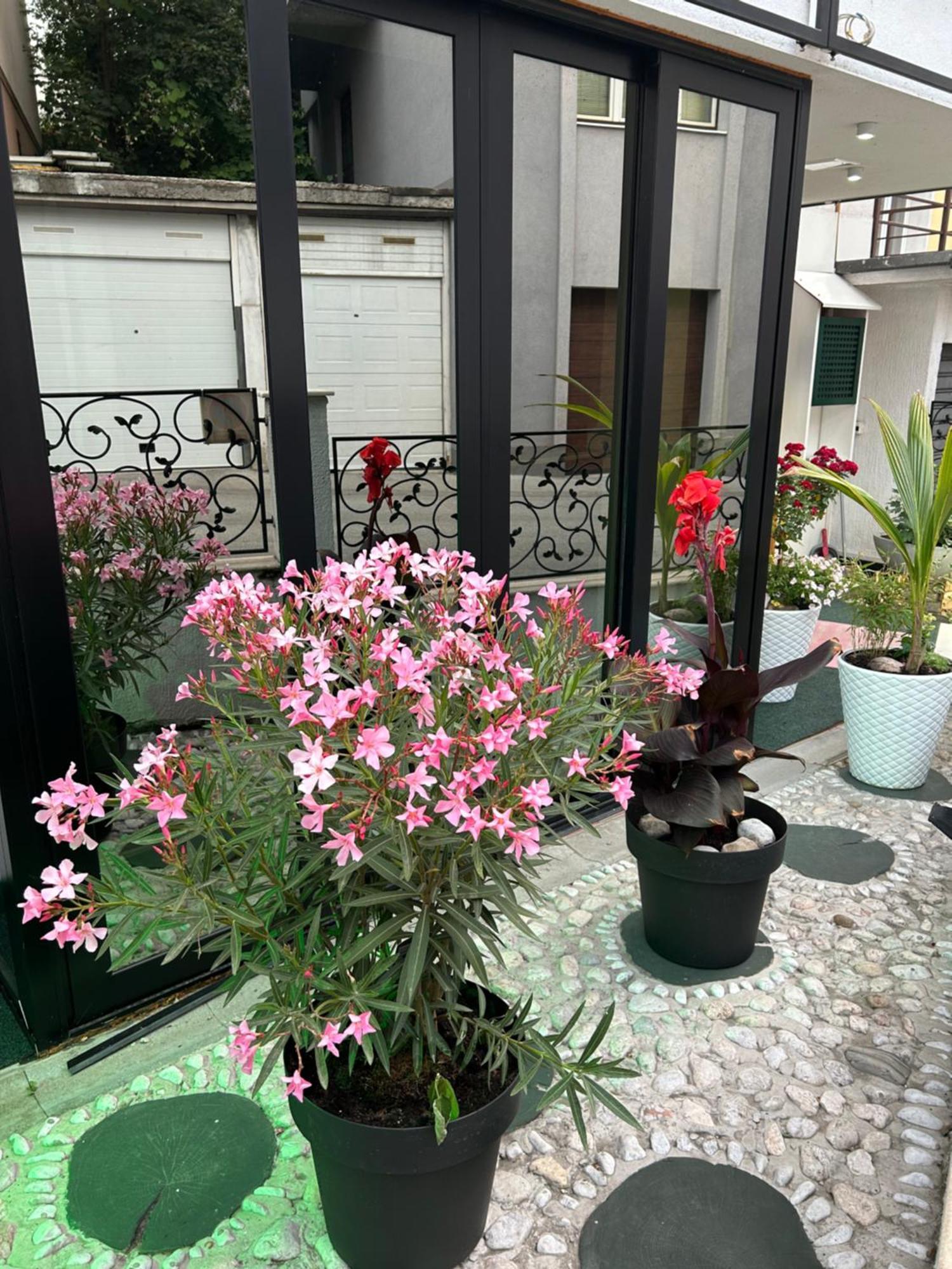 Halvat Guesthouse ซาราเยโว ภายนอก รูปภาพ